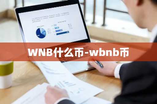 WNB什么币-wbnb币