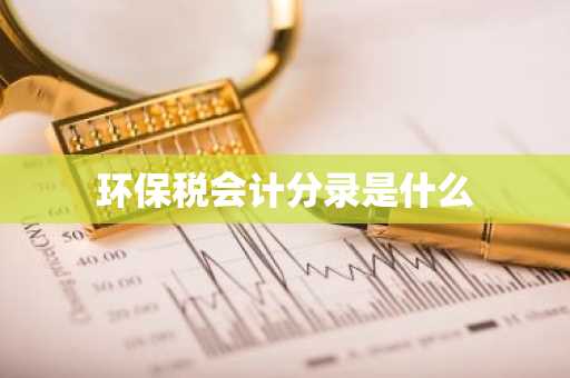 环保税会计分录是什么