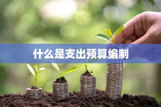 什么是支出预算编制