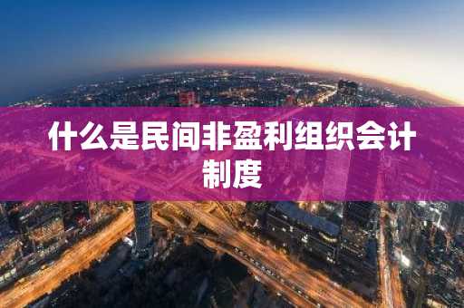 什么是民间非盈利组织会计制度