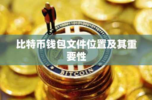 比特币钱包文件位置及其重要性