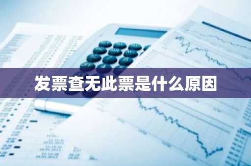 发票查无此票是什么原因
