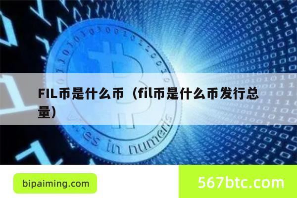 FIL币是什么币（fil币是什么币发行总量）