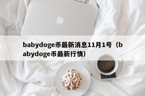 babydoge币最新消息11月1号（babydoge币最新行情）