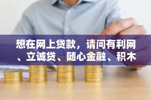 想在网上贷款，请问有利网、立诚贷、随心金融、积木盒子、人人贷怎么样这些平台都怎么样？