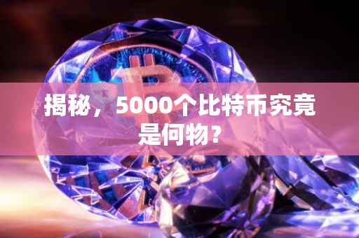 揭秘，5000个比特币究竟是何物？