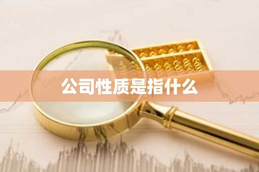 公司性质是指什么