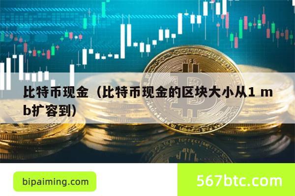 比特币现金（比特币现金的区块大小从1 mb扩容到）