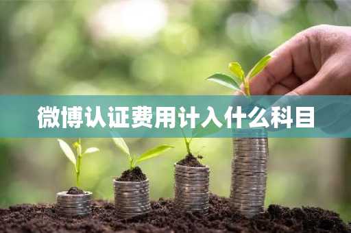 微博认证费用计入什么科目