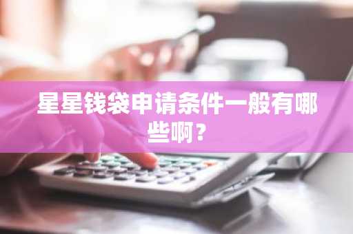 星星钱袋申请条件一般有哪些啊？