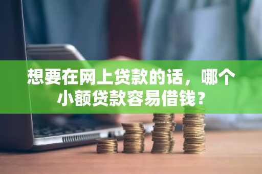 想要在网上贷款的话，哪个小额贷款容易借钱？