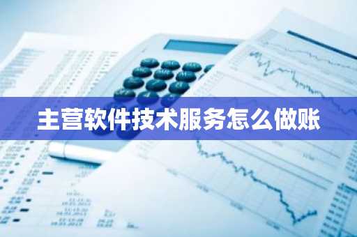 主营软件技术服务怎么做账
