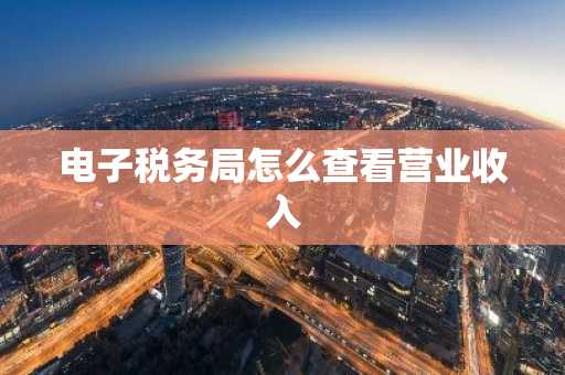 电子税务局怎么查看营业收入