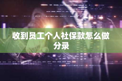 收到员工个人社保款怎么做分录