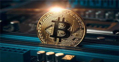 Arbitrum链上宠物xPET爆火！采用XPET、BPET双代币模式