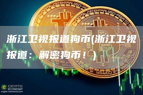 浙江卫视报道狗币 - 浙江卫视报道：解密狗币！