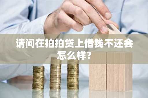 请问在拍拍贷上借钱不还会怎么样？