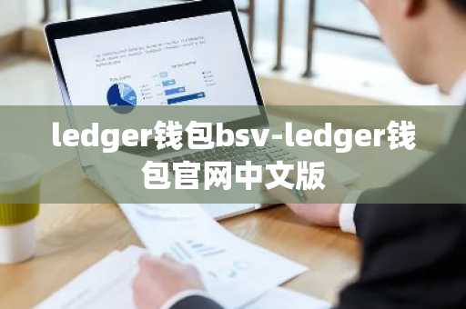 ledger钱包bsv-ledger钱包官网中文版