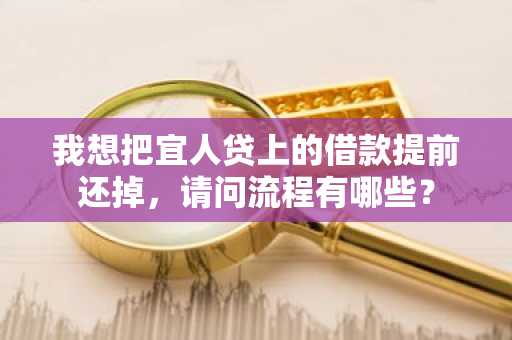 我想把宜人贷上的借款提前还掉，请问流程有哪些？