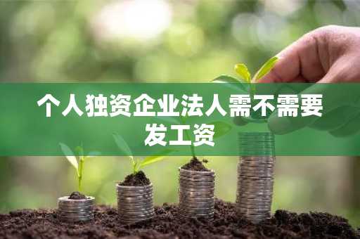 个人独资企业法人需不需要发工资
