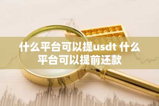 什么平台可以提usdt 什么平台可以提前还款