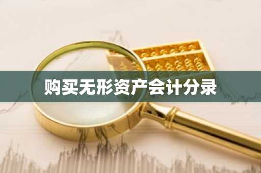 购买无形资产会计分录