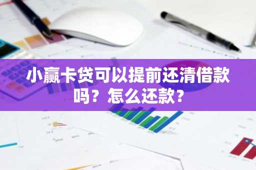 小赢卡贷可以提前还清借款吗？怎么还款？