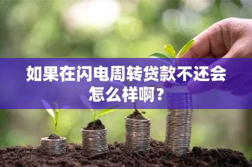 如果在闪电周转贷款不还会怎么样啊？