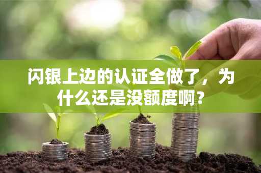 闪银上边的认证全做了，为什么还是没额度啊？