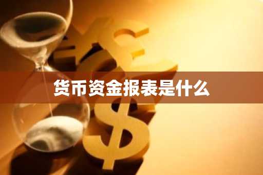 货币资金报表是什么