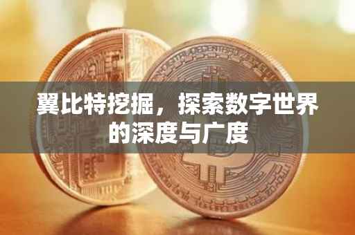 翼比特挖掘，探索数字世界的深度与广度