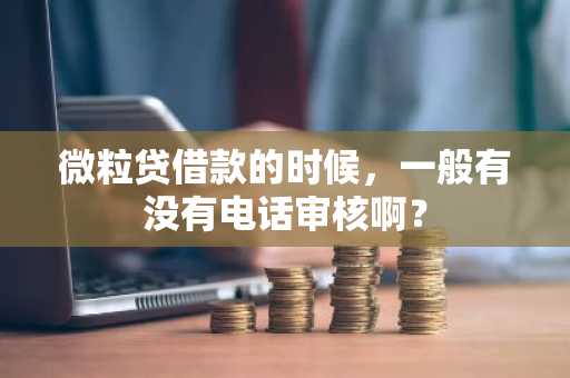 微粒贷借款的时候，一般有没有电话审核啊？