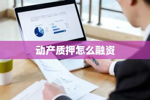 动产质押怎么融资