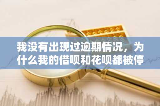 我没有出现过逾期情况，为什么我的借呗和花呗都被停止使用了？
