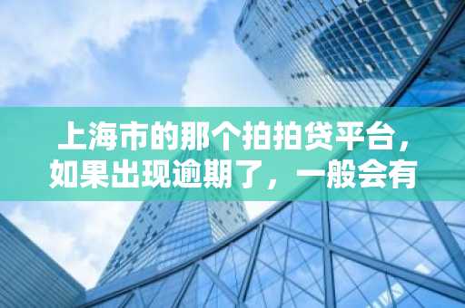 上海市的那个拍拍贷平台，如果出现逾期了，一般会有哪些严重后果啊？