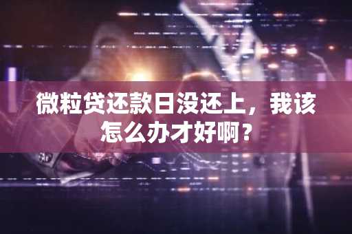 微粒贷还款日没还上，我该怎么办才好啊？