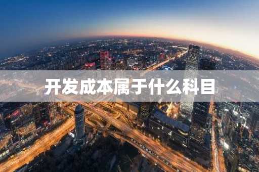 开发成本属于什么科目