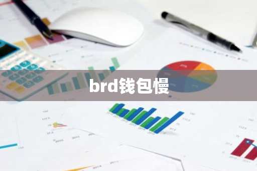 brd钱包慢
