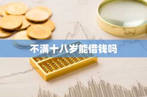 不满十八岁能借钱吗