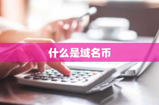 什么是域名币