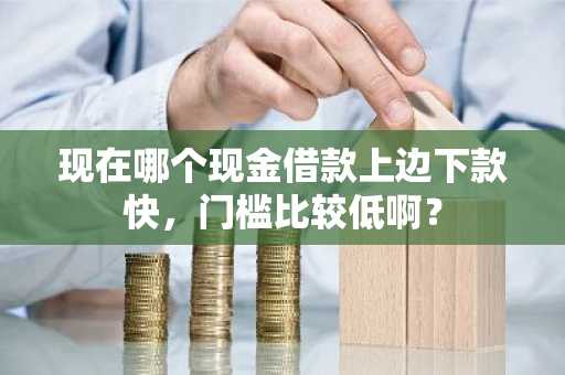 现在哪个现金借款上边下款快，门槛比较低啊？