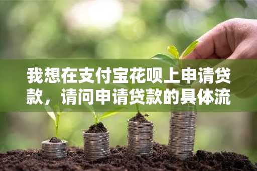 我想在支付宝花呗上申请贷款，请问申请贷款的具体流程是什么？