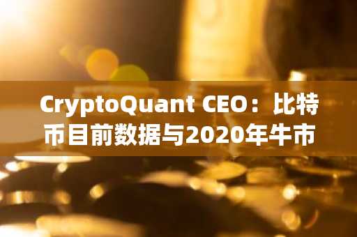 CryptoQuant CEO：比特币目前数据与2020年牛市初期相似