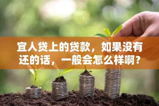 宜人贷上的贷款，如果没有还的话，一般会怎么样啊？