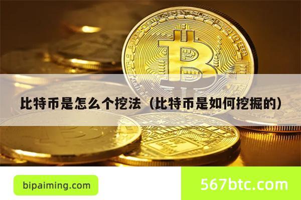 比特币是怎么个挖法（比特币是如何挖掘的）
