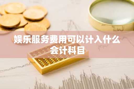 娱乐服务费用可以计入什么会计科目