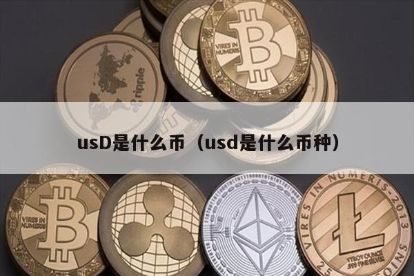 usD是什么币（usd是什么币种）