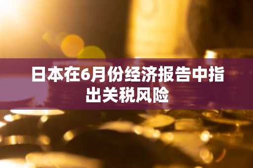 日本在6月份经济报告中指出关税风险
