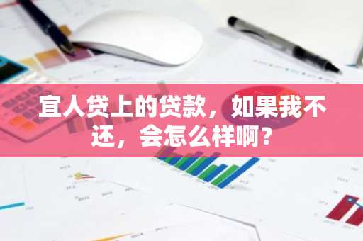 宜人贷上的贷款，如果我不还，会怎么样啊？