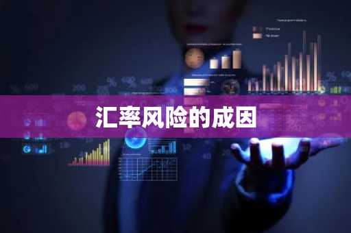 汇率风险的成因
